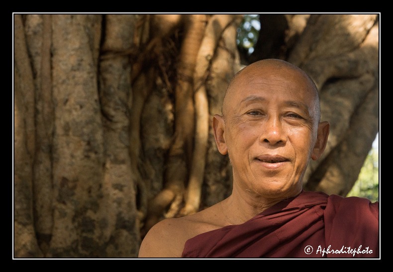 Myanmar portraits 156
